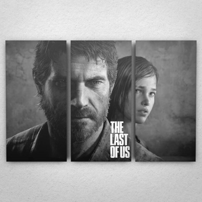 Cuadro de The Last of Us