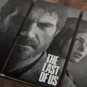 Cuadro de The Last of Us