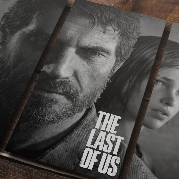 Cuadro de The Last of Us