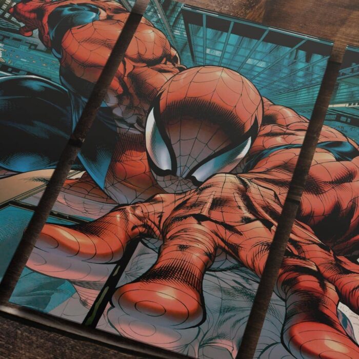 Cuadro de Spider Man – 01