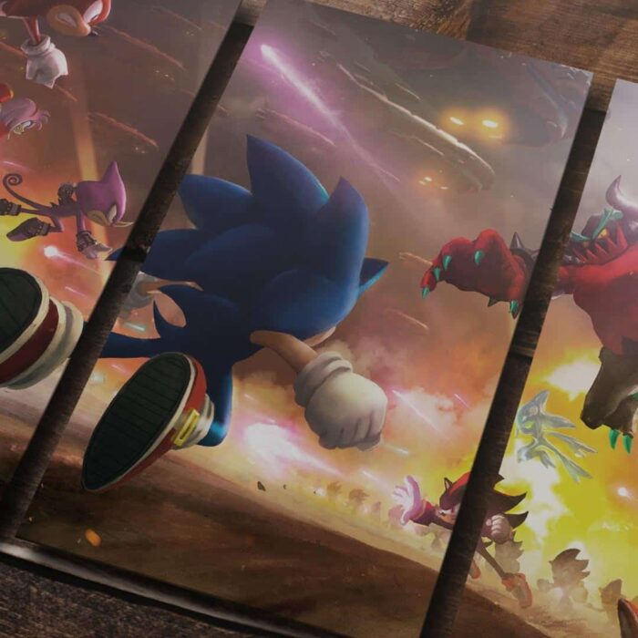 Cuadro de Sonic – Batalla