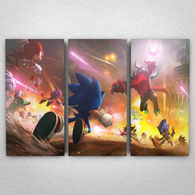 Cuadro de Sonic - Batalla