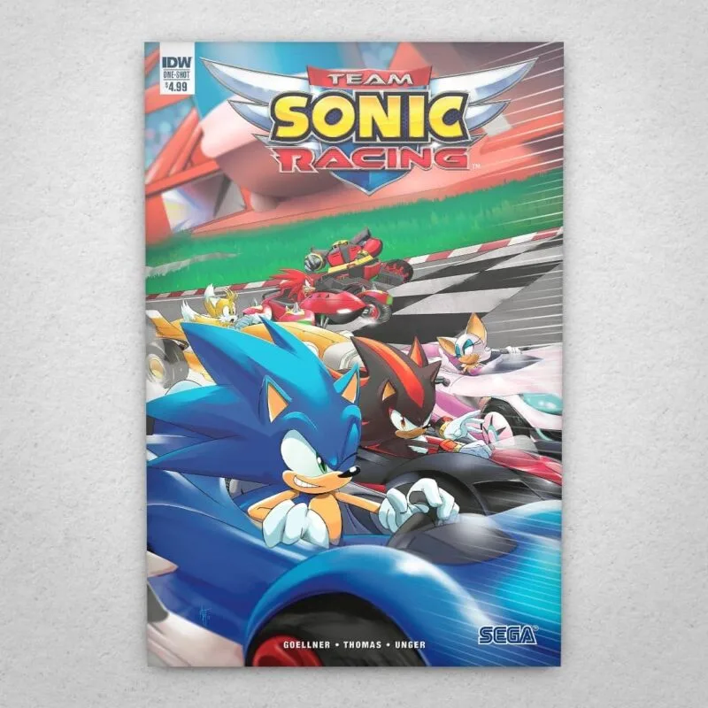 Cuadro de Sonic - Team Racing