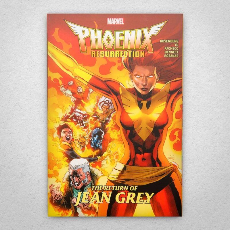 Cuadro de X-Men – Phoenix – 03