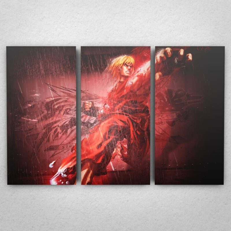 Cuadro de Street Fighter – Ken