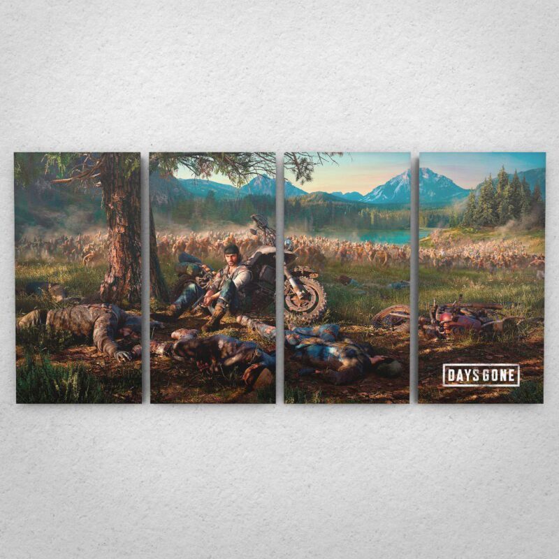 Cuadro de Days Gone
