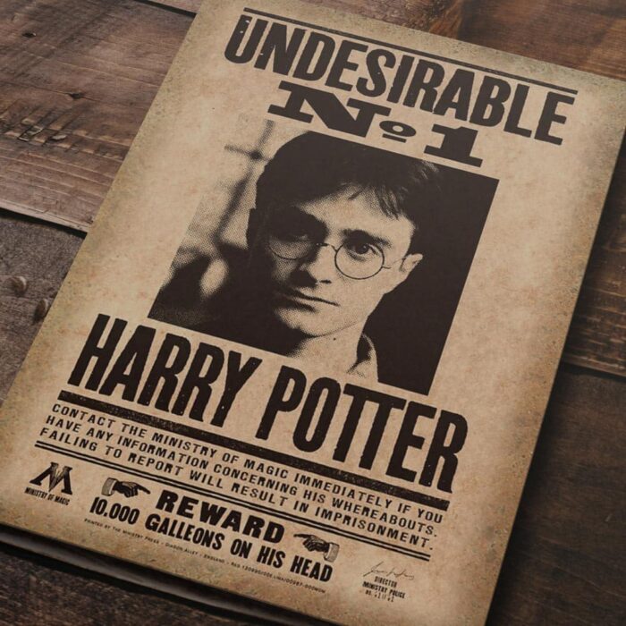 Cuadro de Harry Potter – Se busca