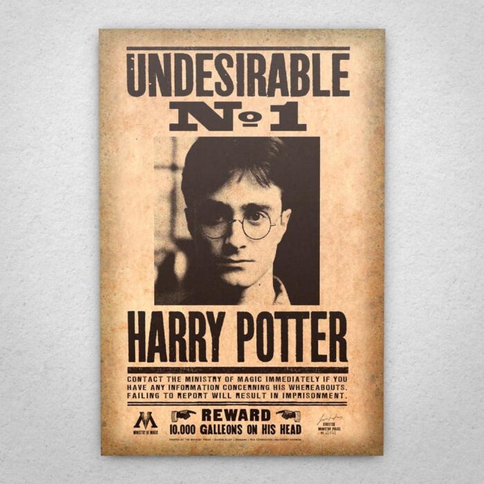 Cuadro de Harry Potter – Se busca