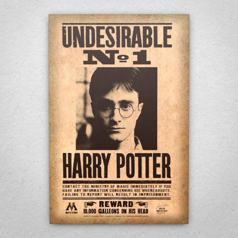 Cuadro de Harry Potter – Se busca
