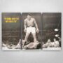 Cuadro de Muhammad Ali vs Sonny Liston