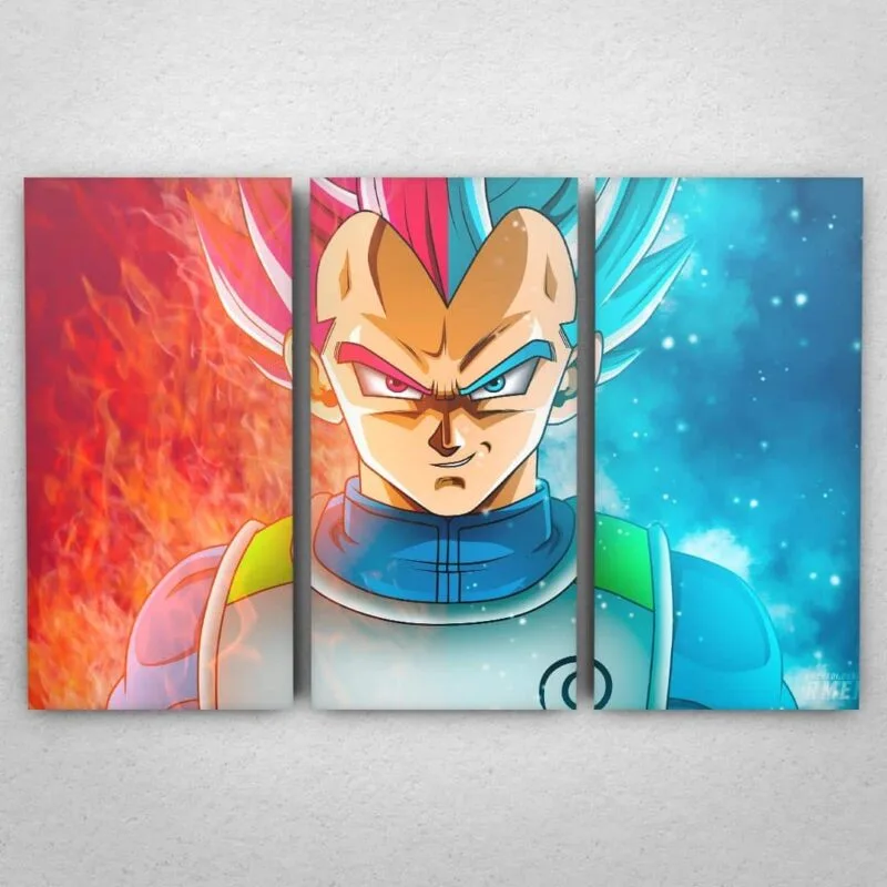Cuadro de Dragon Ball Super – Vegeta – 02
