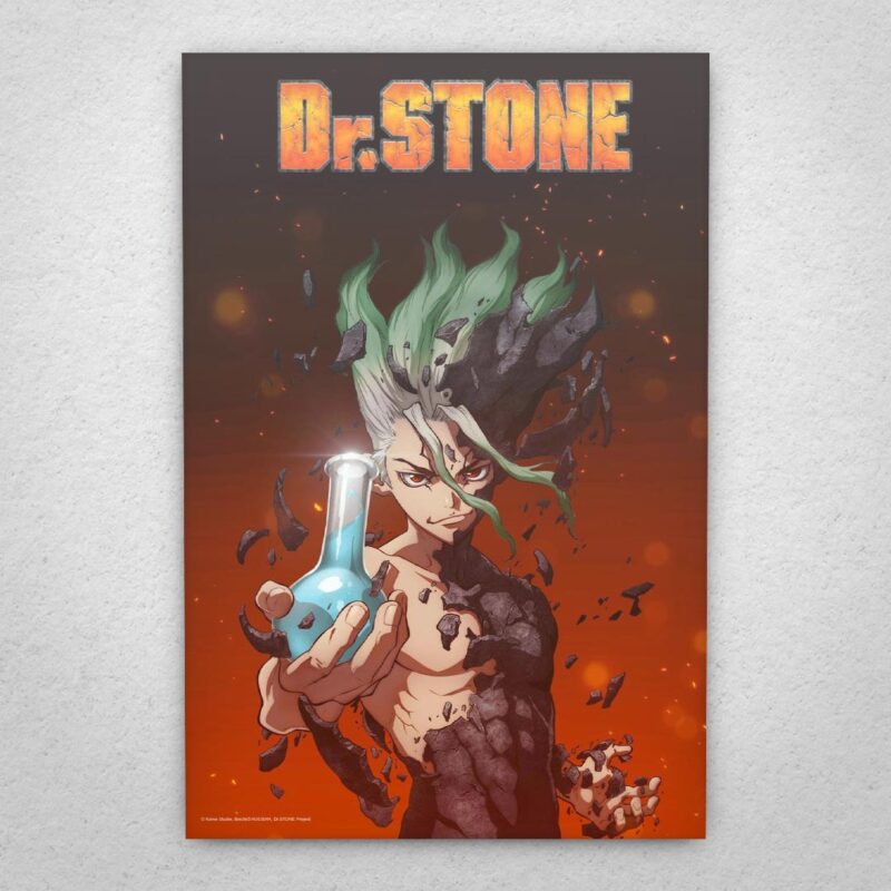Cuadro de Dr. Stone – 01