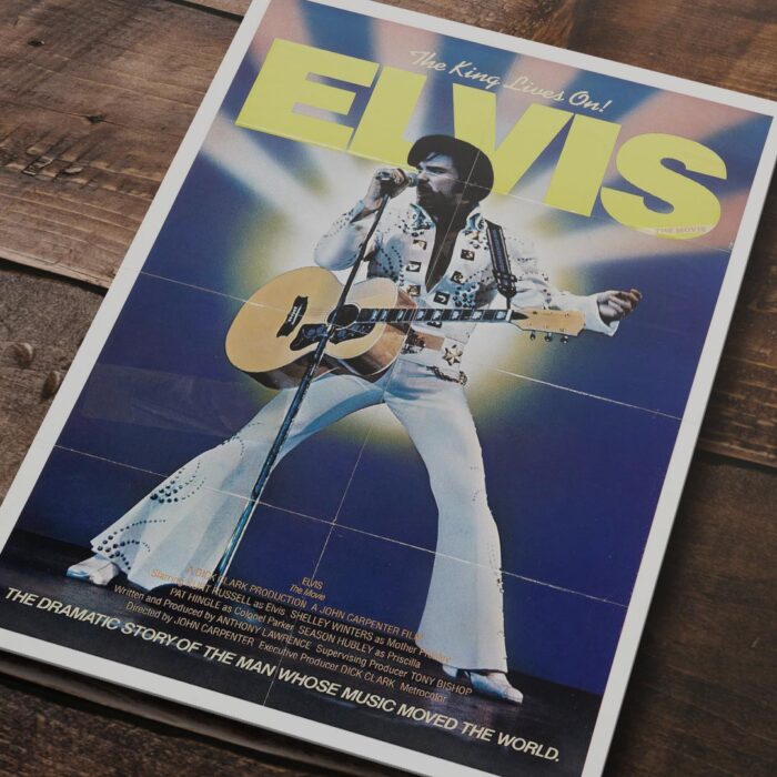 Cuadro de Elvis – 01