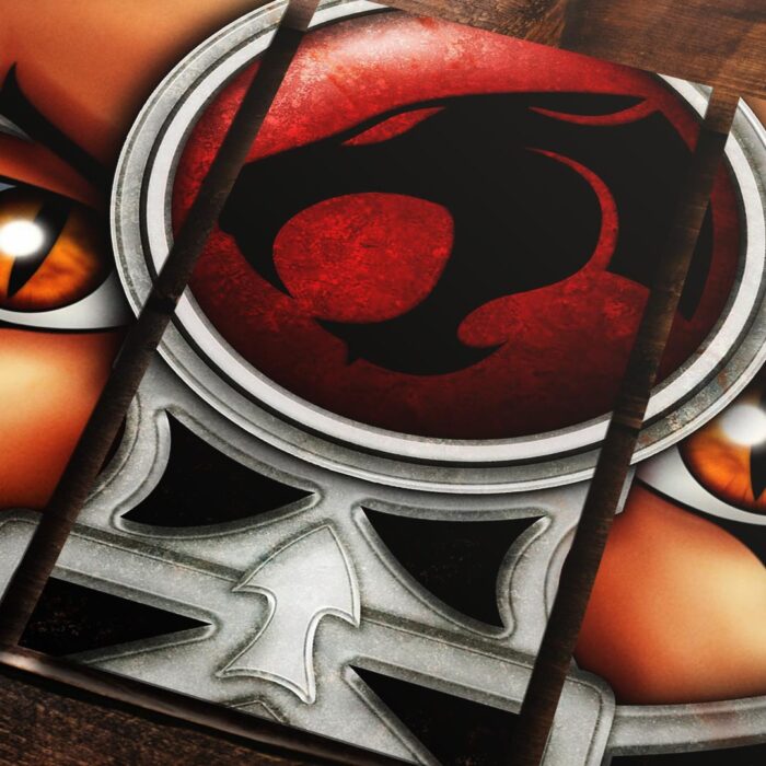 Cuadro de Thunder Cats – 01