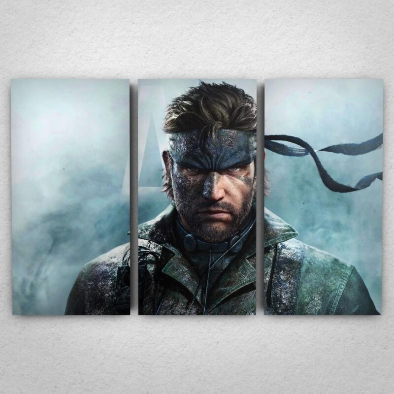 Cuadro de Metal Gear Solid – Snake eater