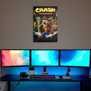 Cuadro de Crash Bandicoot 1