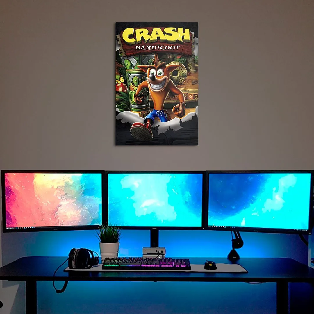 Cuadro de Crash Bandicoot 1