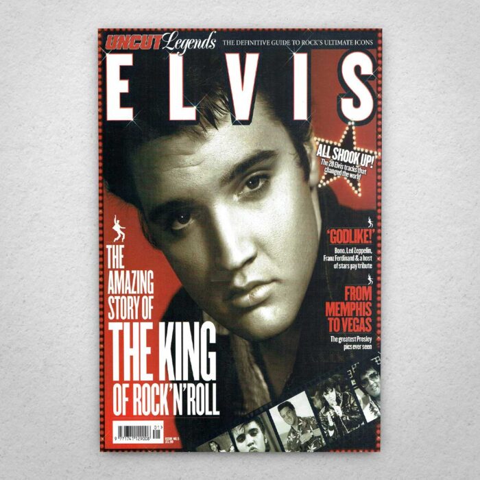 Cuadro de Elvis – 03