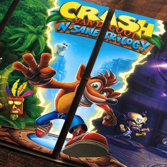 Cuadro de Crash Bandicoot – 02