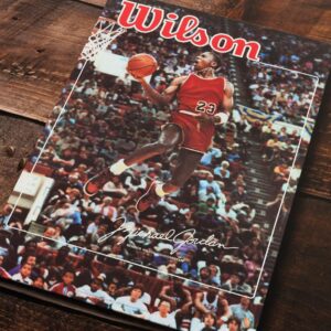 Cuadro de Michael Jordan – 01