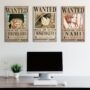 Cuadro de Colección: One Piece – Wanted – 01