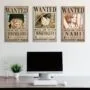 Cuadro de Colección: One Piece - Wanted - 01