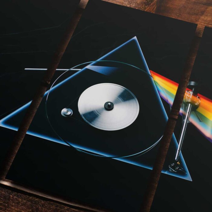 Cuadro de Pink Floyd – 02