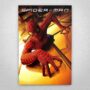 Cuadro de Spider Man 1