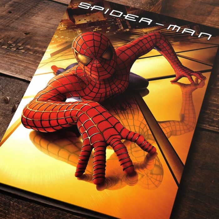 Cuadro de Spider Man 1