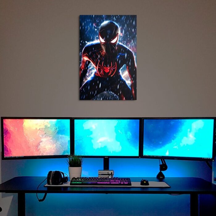 Cuadro de Spider Man – Miles Morales – 01