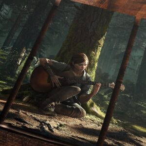 Cuadro de The Last of Us 2 – 02