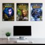 Cuadro de Colección: World of Warcraft – 01