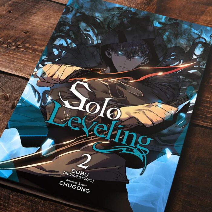 Cuadro de Solo Leveling – 02