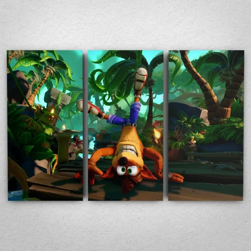 Cuadro de Crash Bandicoot - 04
