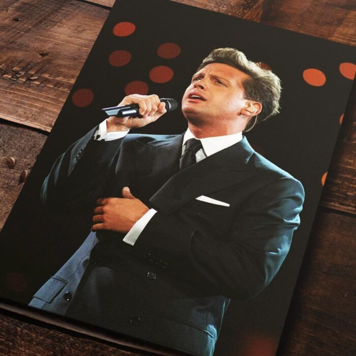 Cuadro de Luis Miguel – 01
