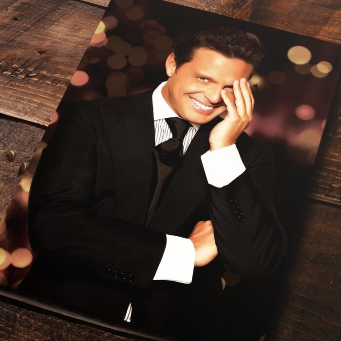 Cuadro de Luis Miguel – 02