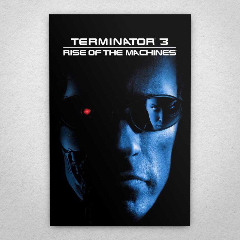 Cuadro de Terminator 3 – Rise of the Machines