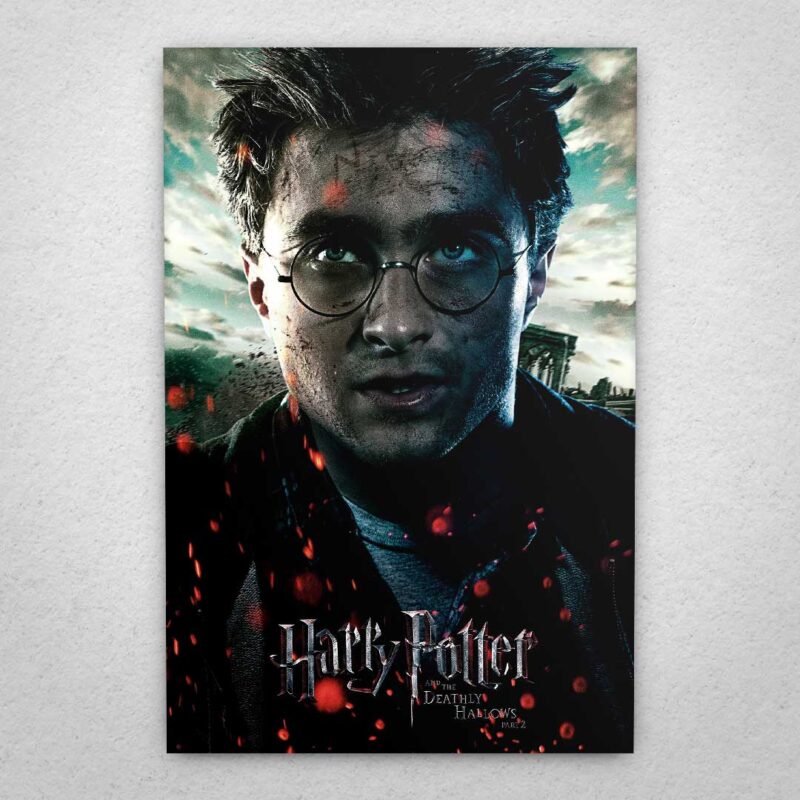 Cuadro de Harry Potter – Y las reliquias de la muerte parte 2 – Harry
