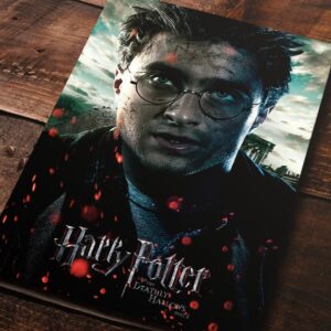Cuadro de Harry Potter – Y las reliquias de la muerte parte 2 – Harry