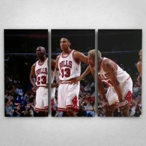 Cuadro de Chicago Bulls - 01