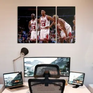 Cuadro de Chicago Bulls - 01