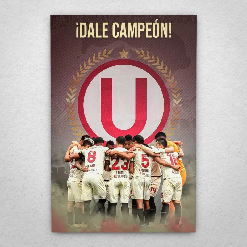 Cuadro de Universitario - 01