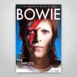 Cuadro de David Bowie - 01