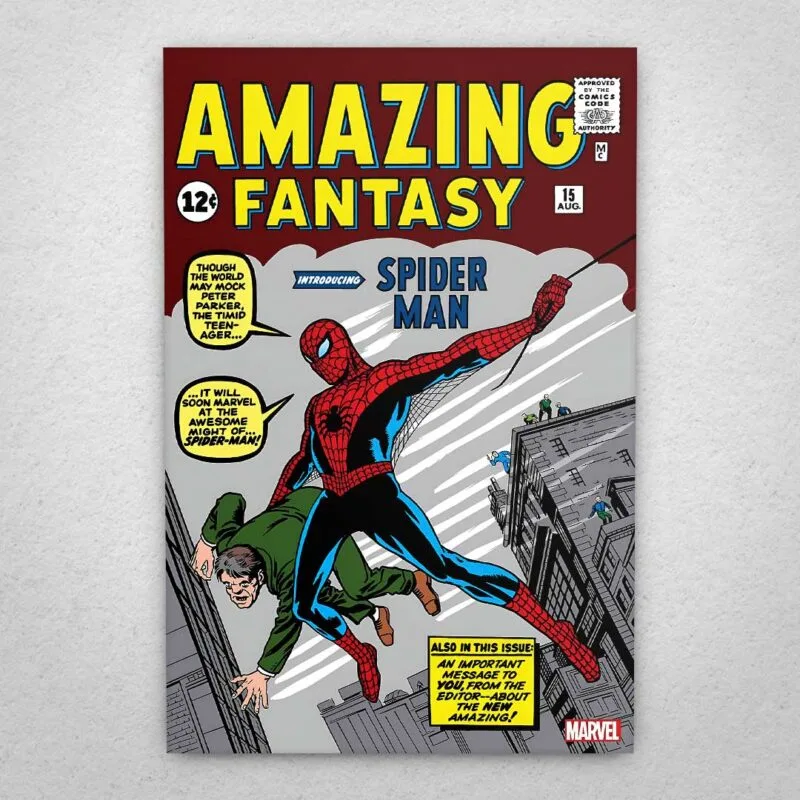 Cuadro de Spider Man - 07