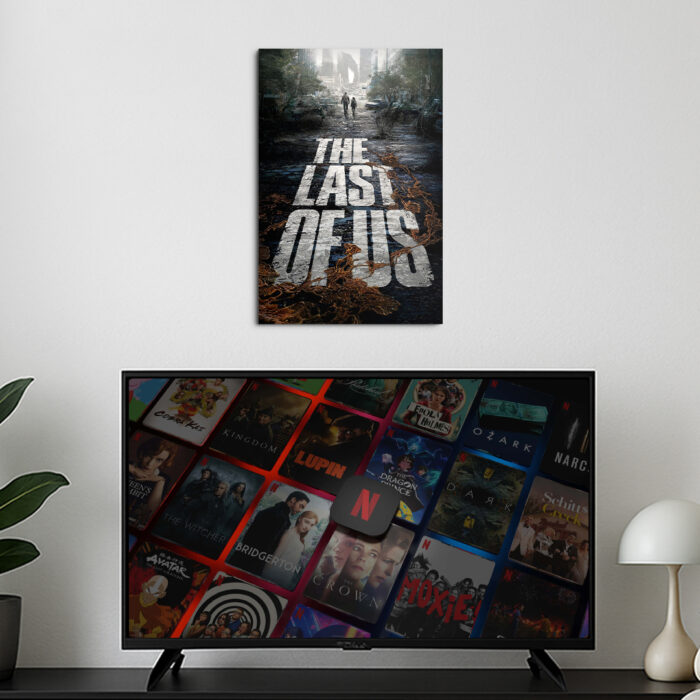Cuadro de The Last of Us – 03