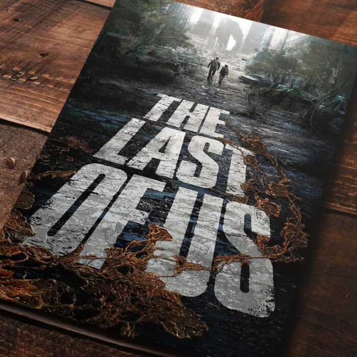 Cuadro de The Last of Us – 03