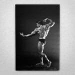 Cuadro de Arnold Schwarzenegger - Mr Olympia