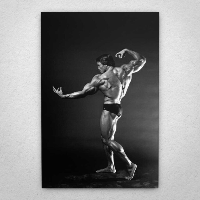 Cuadro de Arnold Schwarzenegger – Mr Olympia a