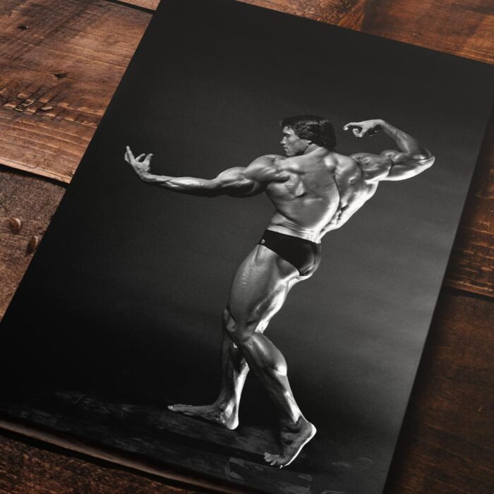 Cuadro de Arnold Schwarzenegger – Mr Olympia