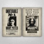 Cuadro de Harry Potter - Carteles